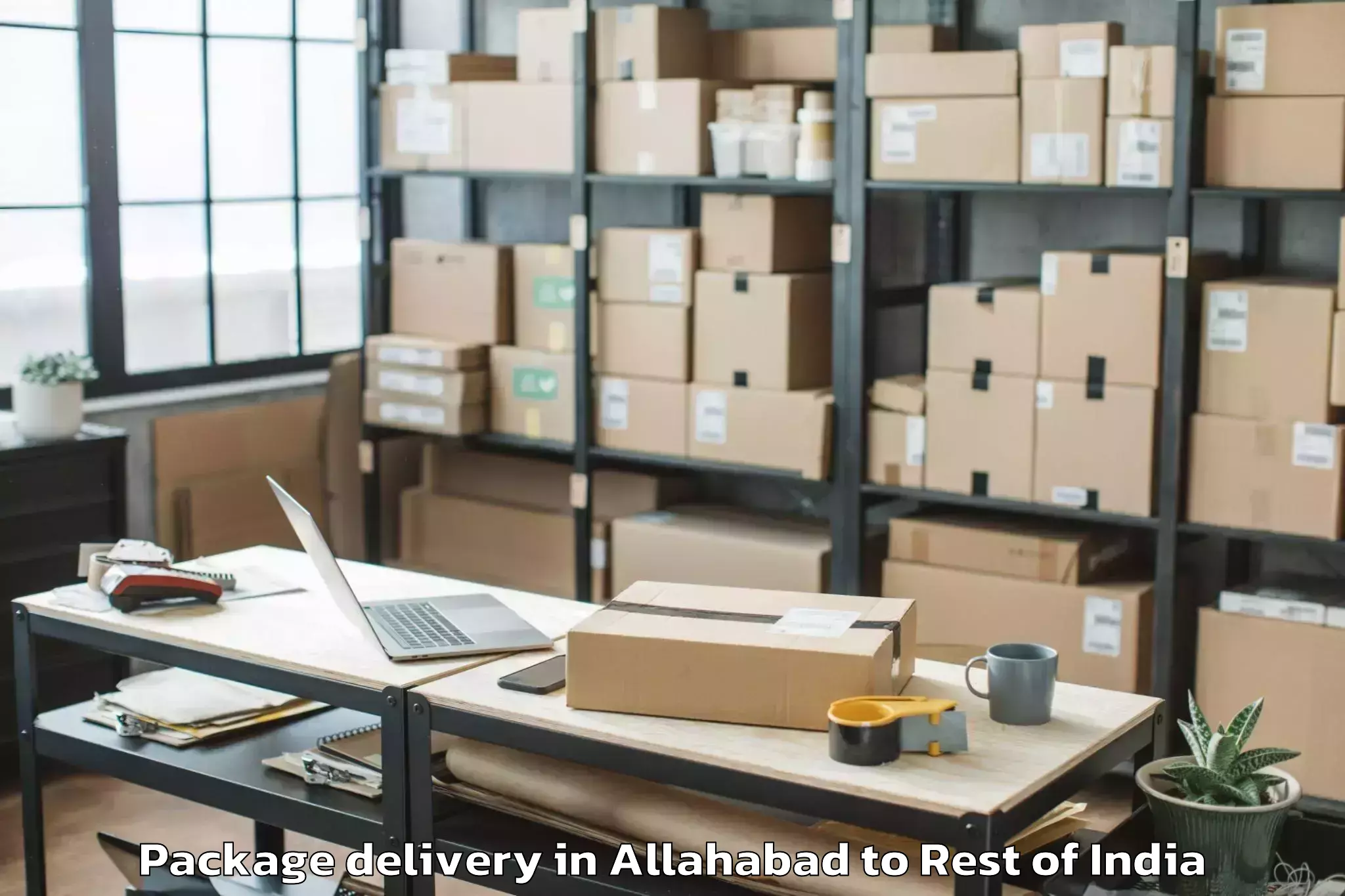 Trusted Allahabad to Bhoodan Pochampally Package Delivery